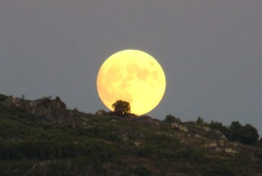 DSC00034.JPG DSC00034.JPG