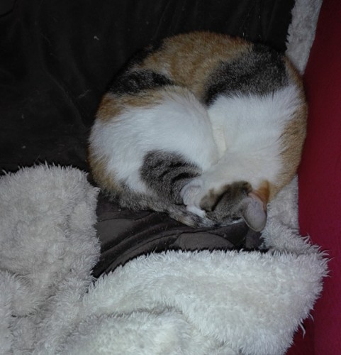 IMG_20181110_223951.jpg IMG_20181110_223951.jpg