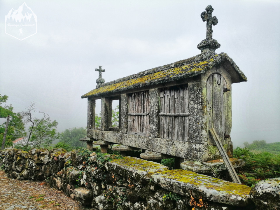 Photo_1597131701690.jpg Photo_1597131701690.jpg