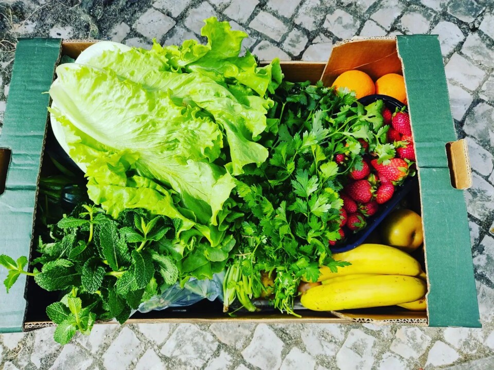 343976431_802484608116024_9017950470014843850_n.jp