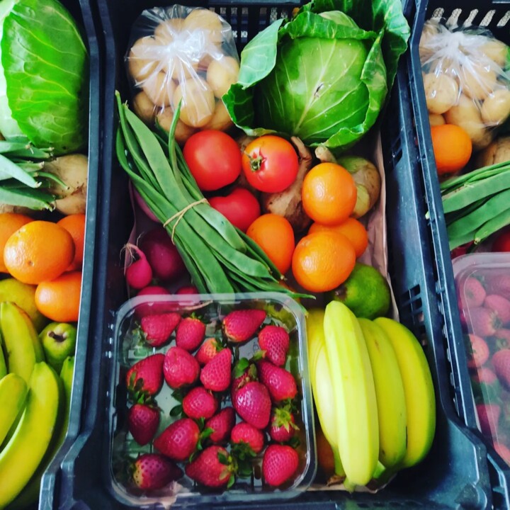 434173186_801217878702291_3636364090455528750_n.jp