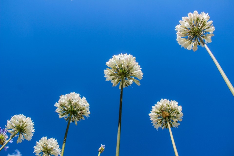 azul 1 (1024x683).jpg azul 1 (1024x683).jpg