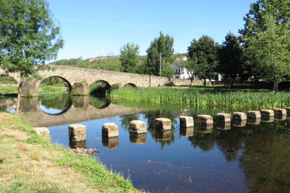 IMG_2800.JPG IMG_2800.JPG