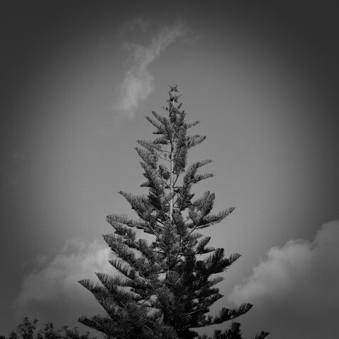 DSCF0697.jpeg