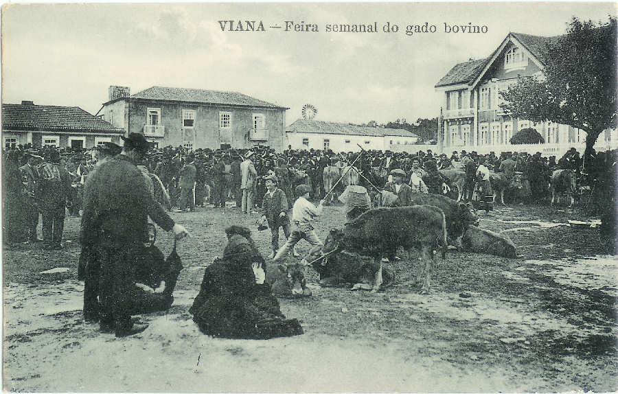 84- feira semanal do gado.jpg
