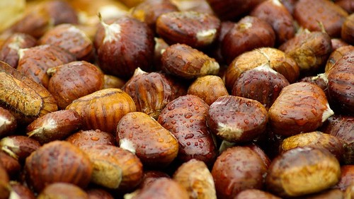 Chestnuts-Fall-Brown-Raindrops-994138.jpg
