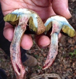 FullSizeRender 3.jpg