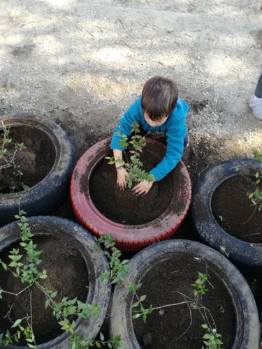 IMG_20180321_153335.jpg IMG_20180321_153335.jpg