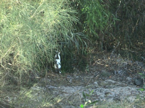 IMG_6209.JPG IMG_6209.JPG