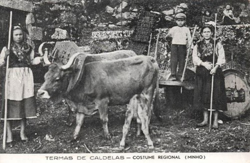 IMG_8835.JPG IMG_8835.JPG