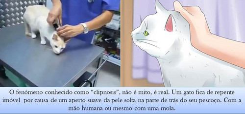 clipnosis.jpg clipnosis.jpg