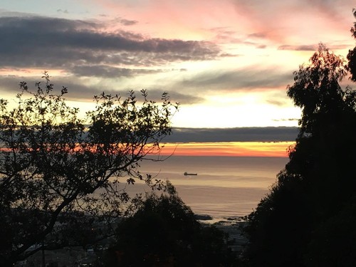 15310779_1412098785484290_1586261568_o