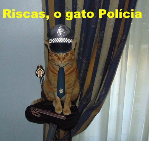 riscasgatopolicia.jpg