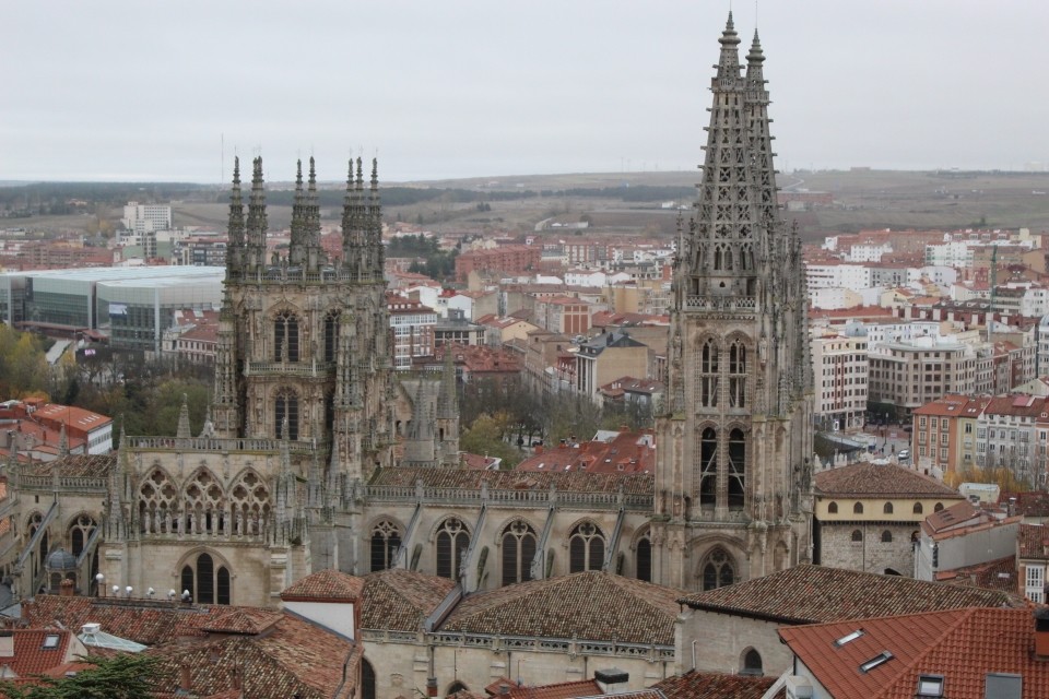 20191128113624_IMG_1655_resized_20200114_122914288