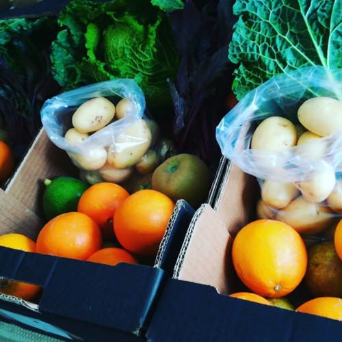 49253462_1292821510857607_9129525575508033536_n.jp