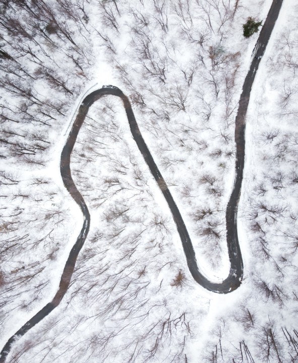 Enleado nos antigos laços