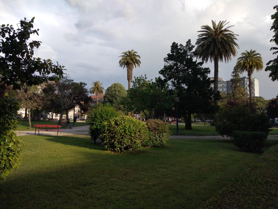 IMG_20210425_191752.jpg