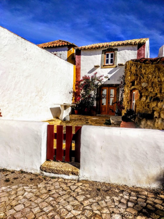 07_02_2022 21_00_13.jpg