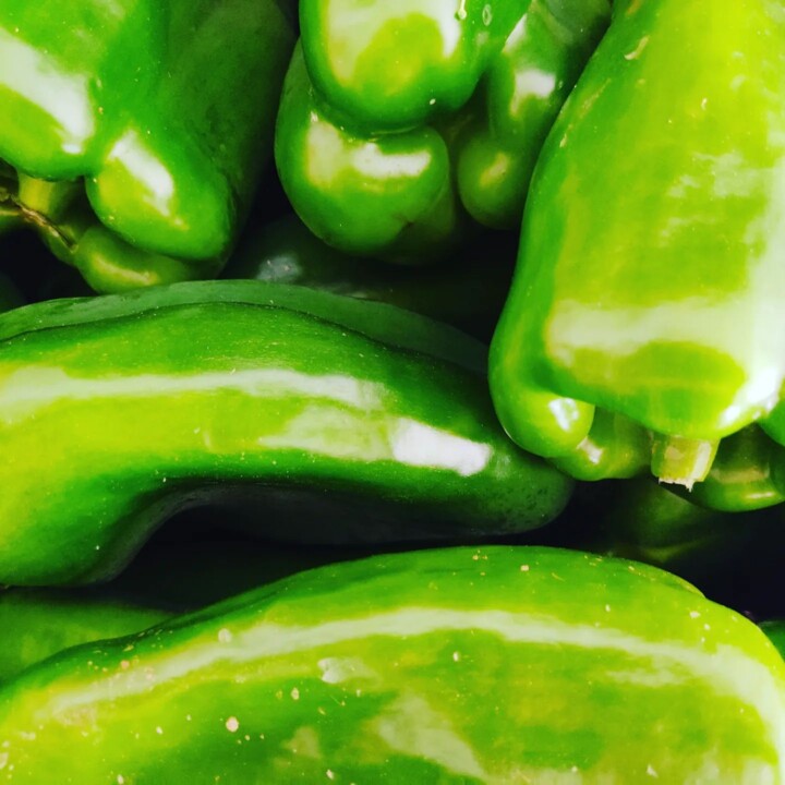 285532835_2328202927319455_4077950701222922320_n.j