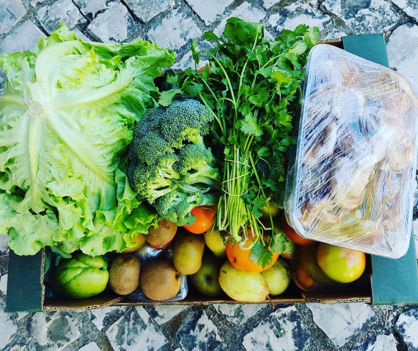 121257789_1837134323092987_852445667916716264_o.jp