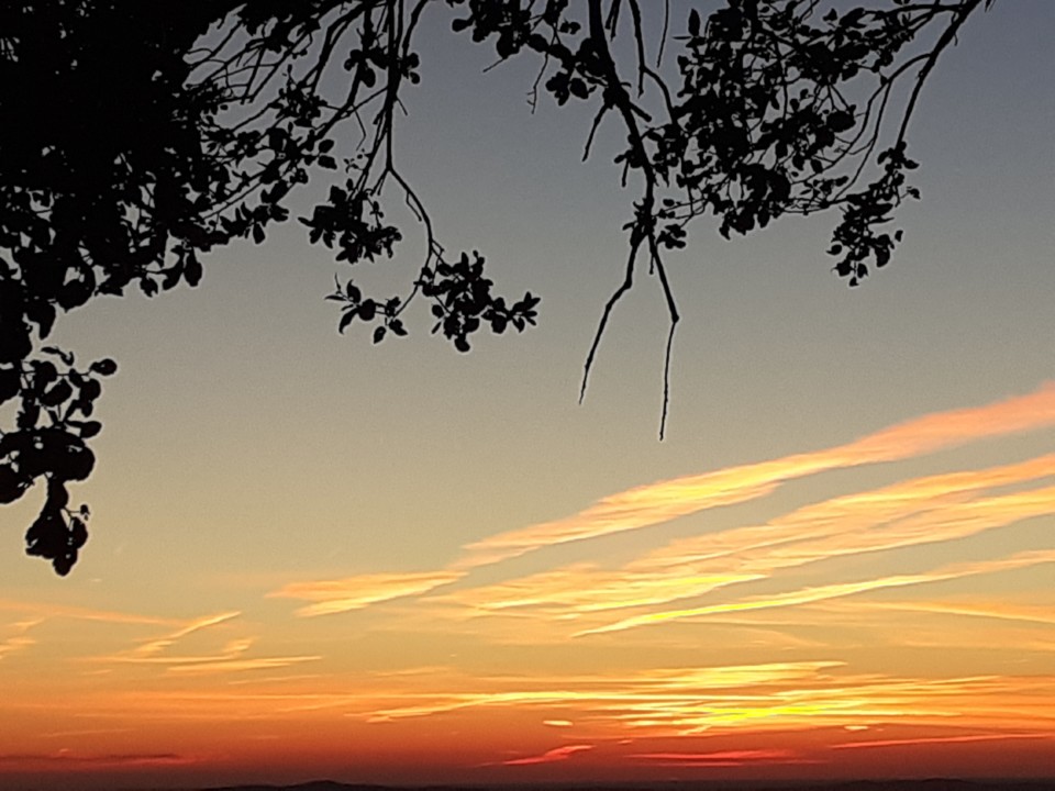 Pôr do Sol. Passadiço. Foto Original. 2021.12.15.jpg