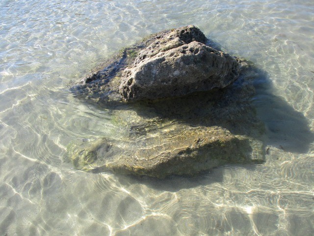 241017083_3050234475256444_1188962323241823534_n.j