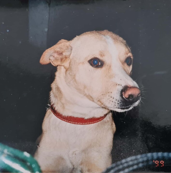 CamScanner 07-13-2020 20.44.37_3 (2).jpg