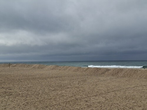 11a_Espinho (27).jpg