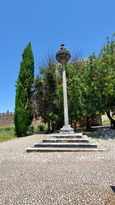 20210529_140629 (2).jpg