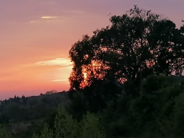 119218641_3223235524458397_6694755808795058091_n.j 119218641_3223235524458397_6694755808795058091_n.j