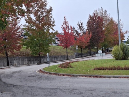 01d_Outonaidades (4).jpg