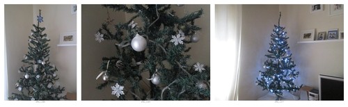 IMG_1388-horz.jpg IMG_1388-horz.jpg