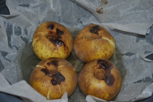 _DSC0245.JPG _DSC0245.JPG