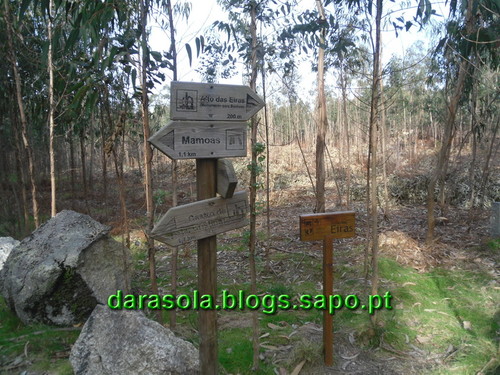 Trilho_Eiras_Famalicao_32.JPG