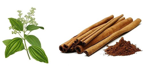 benefícios da canela