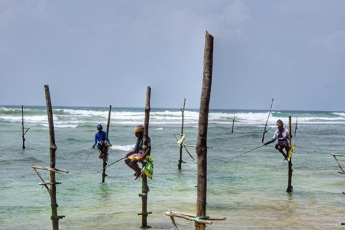 22282067_10214633102771324_6850696338428897271_n.j