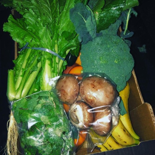 25348539_1008083855998042_2135394907543186559_n.jp