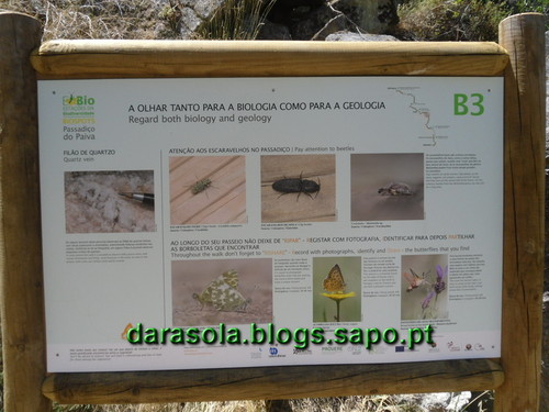 Passadicos_paiva_061.JPG Passadicos_paiva_061.JPG