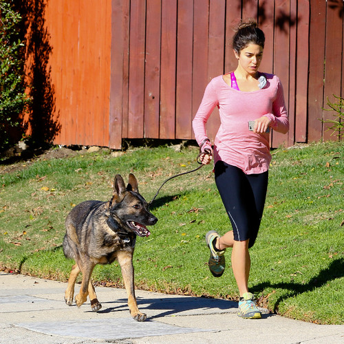 December_31st_-_Running_with_Enzo_281629.jpg