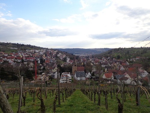 DSC03522.JPG DSC03522.JPG