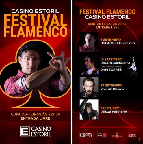 Festival Flamenco.jpg