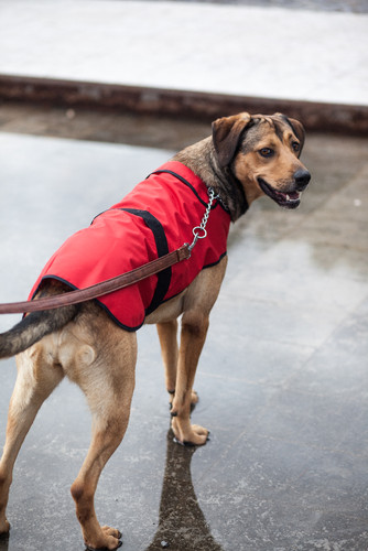 Bereta_entre 5.99eur e 12.99eur (1).jpg