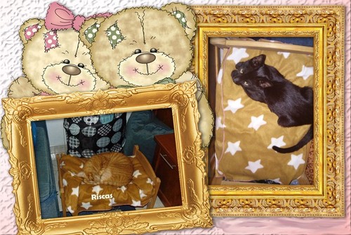 lugares.jpg lugares.jpg