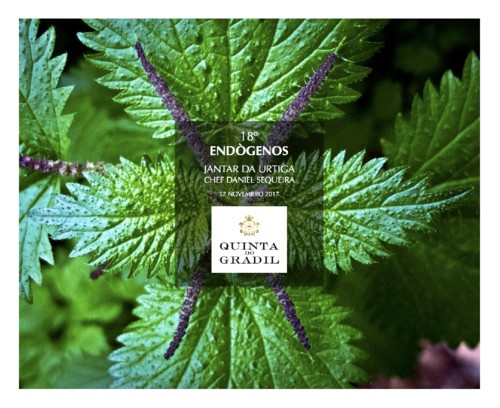 urtigas.png urtigas.png