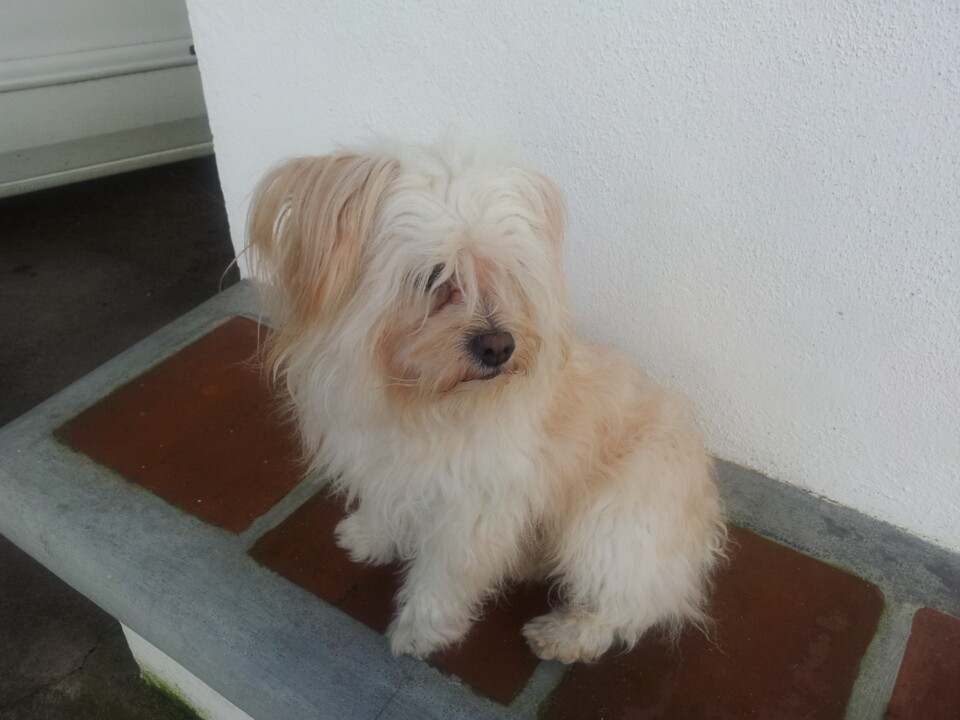 2012-12-20 15.19.21.jpg