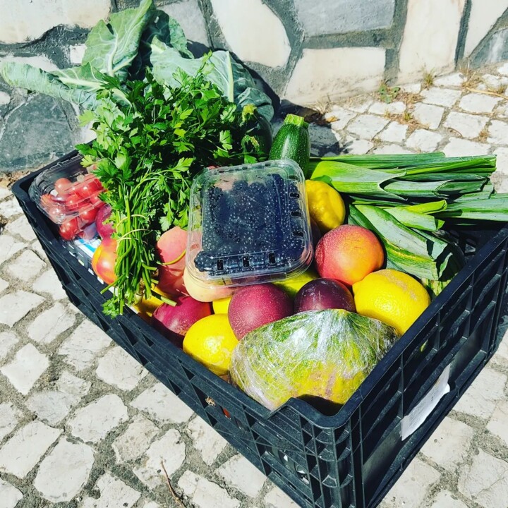 292601418_2359423380864076_4220570144275241128_n.j