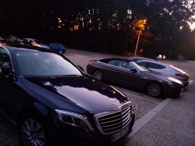 273881180_449680583557771_5777567530158044578_n.jp