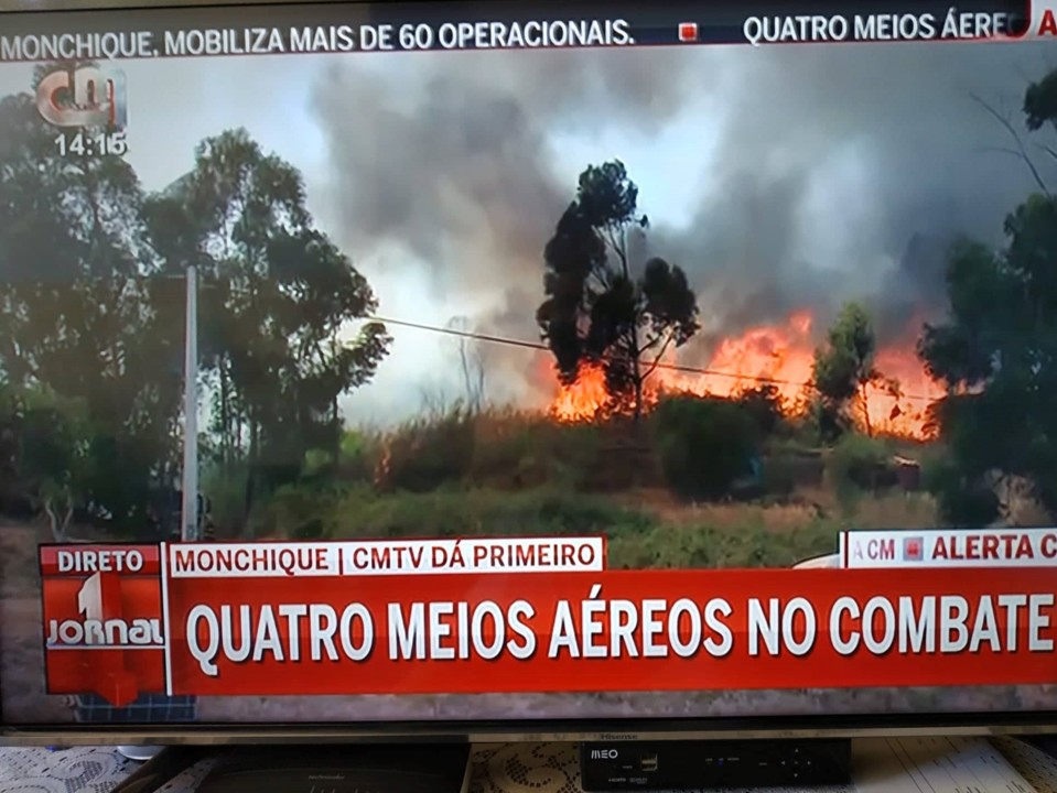 213120739_330720405393425_4352995443592879952_n.jp