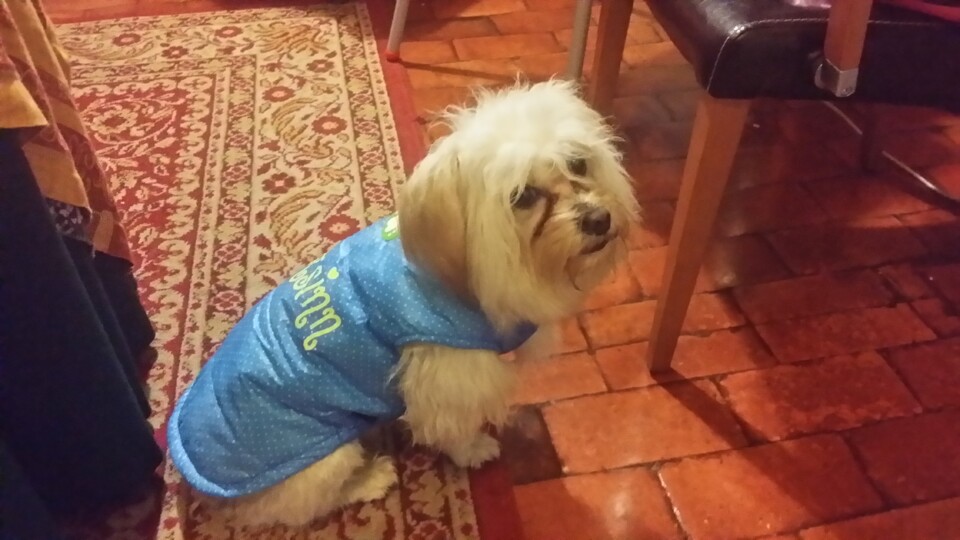 2014-02-04 22.36.56.jpg