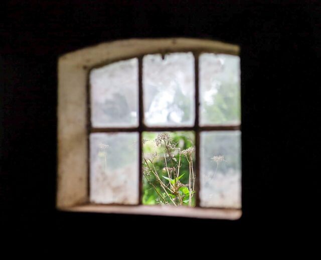 350776137_789084732721651_5871474649931012060_n.jp